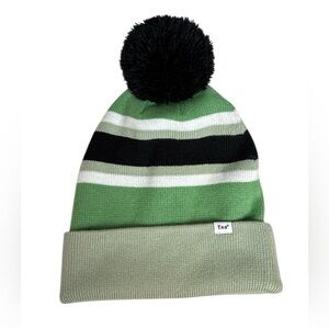 TNA (Aritzia) Tora Beanie (pom pom toque) Green Stripe.